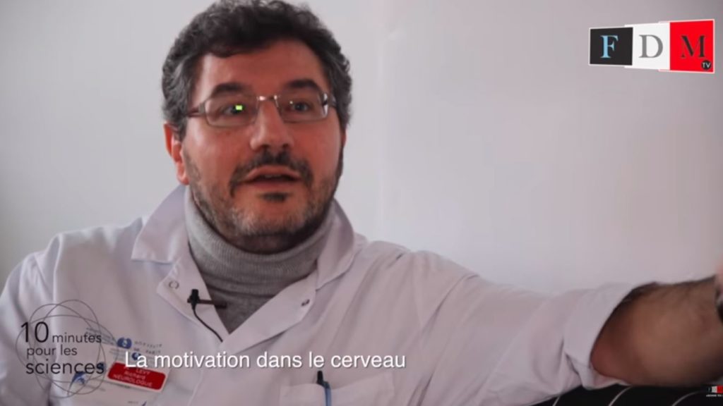 La motivation dans le cerveau – 10 minutes pour les sciences